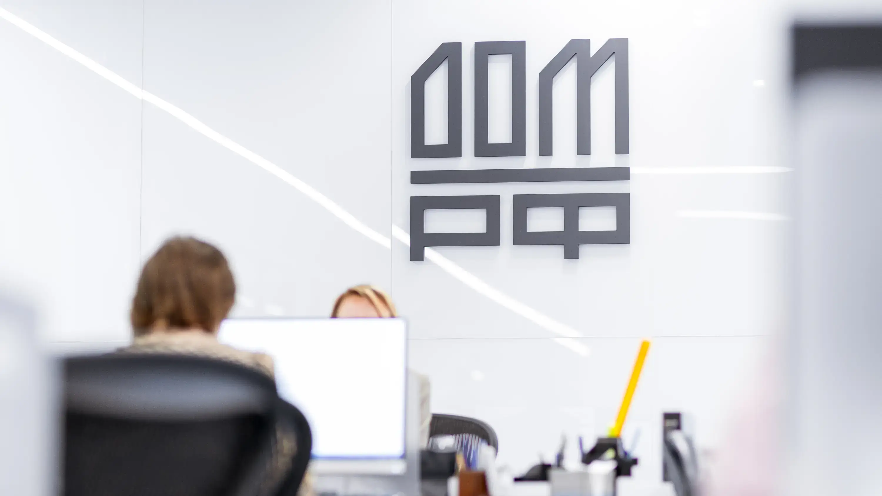 DOM.RF logo interior – corporate logo interior
