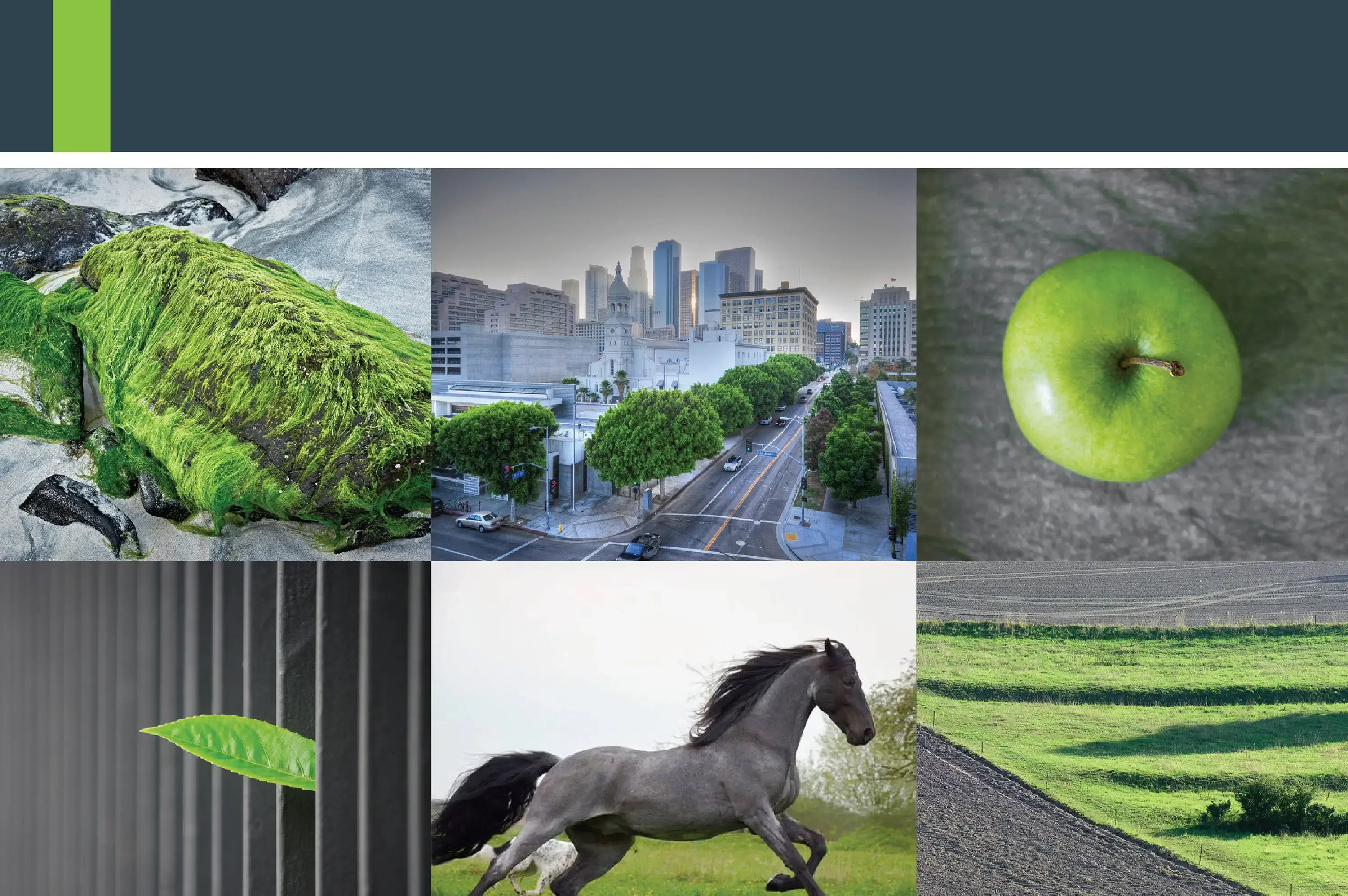 DOM.RF moodboard – corporate identity primary color application