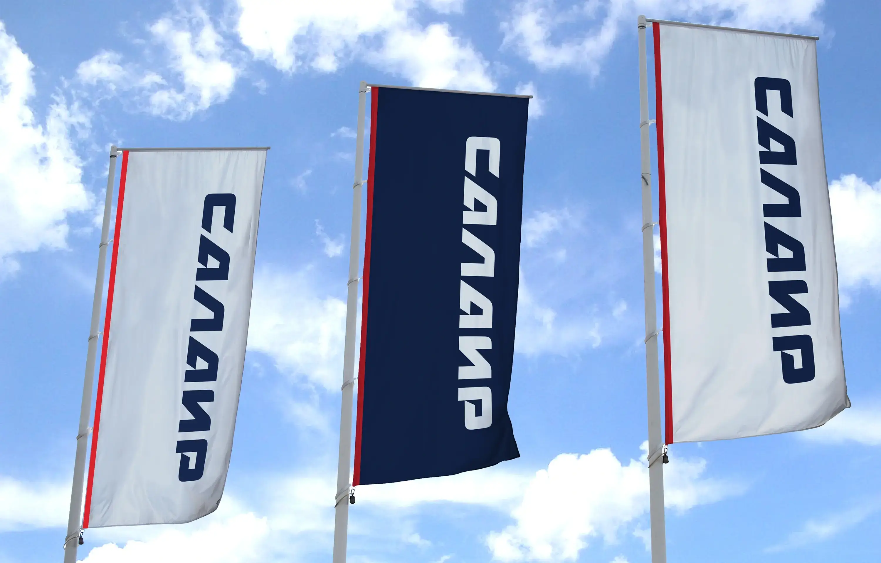 Salair Logistics branded flags – facility environmental branding covering 85 Russian regions